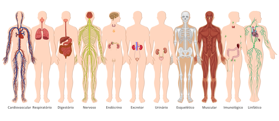 shop Transient Ischemic