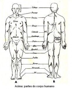 Como na cirurgia plástica aumentam o membro