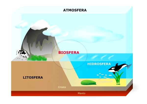 O Que é Biosfera