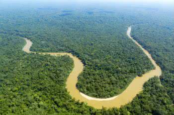 Floresta Amazônica