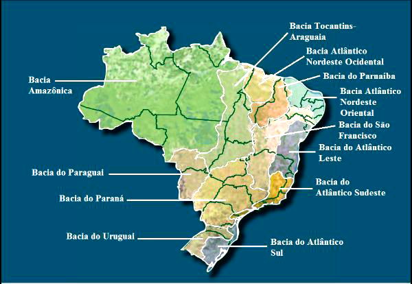 vegetação do Brasil - Geografia