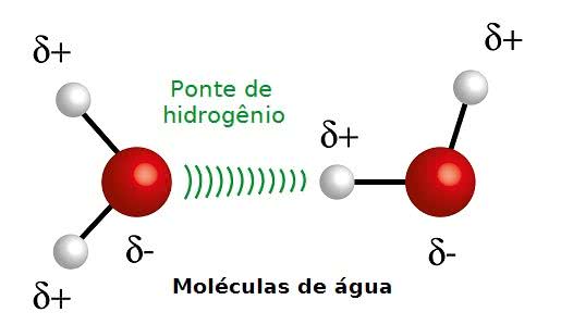 Resultado de imagem para molécula de água