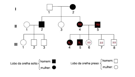Heredograma: o que é e como fazer (com exemplos) - Toda Matéria