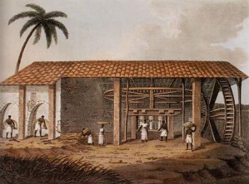 Engenho de Açúcar no Brasil Colonial - Toda Matéria