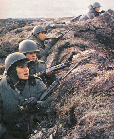 Guerra das Malvinas
