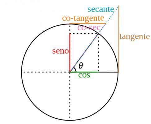 Círculo Trigonométrico