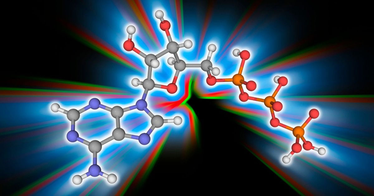 ATP (Adenosina Trifosfato) o que é e qual sua função? Toda Matéria