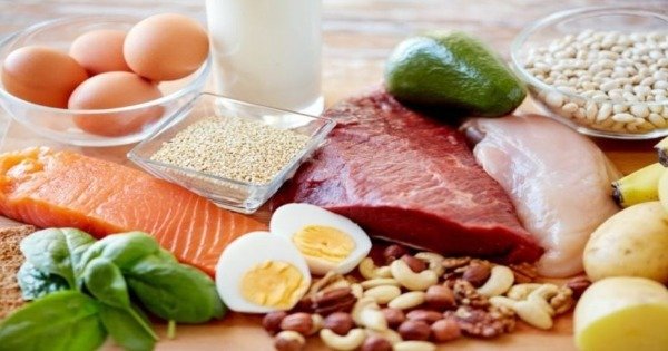 Alimentos ricos em proteínas - Toda Matéria