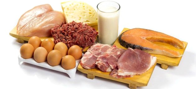 alimentos ricos em proteinas