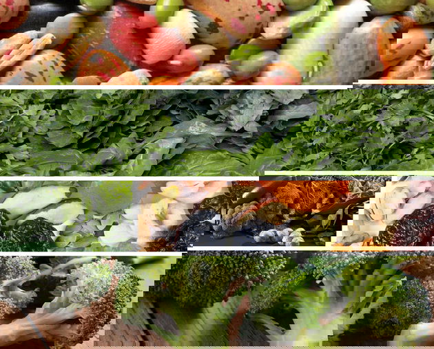 alimentos de origem vegetal rico em ferro