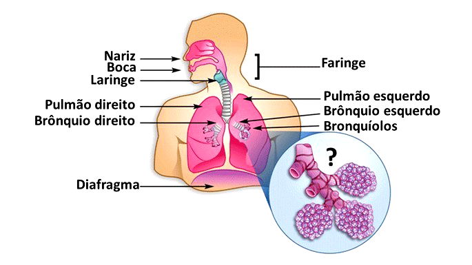 Como colocar um numero embaixo de uma letra CO2 