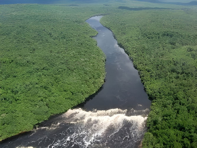 Amazônia: características do bioma