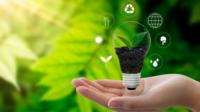 Plantas e meio ambiente