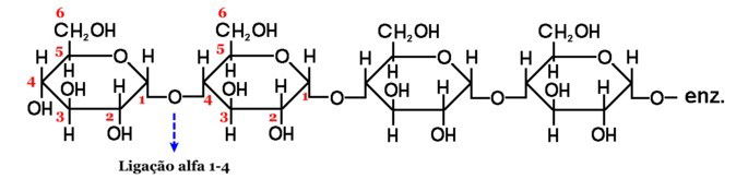 Amilose