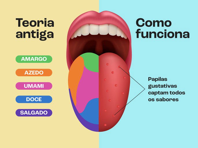 Teoria antiga dos sabores na língua vs. teoria das papilas gustativas