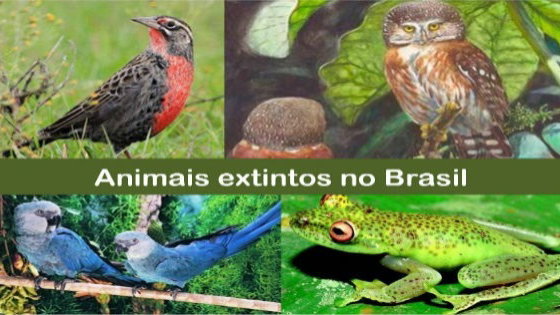Animais Extintos 2024 Um Dos Animais Mais Conhecidos E Populares Do