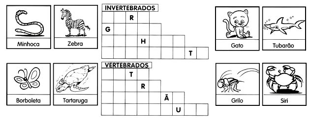 Animais Vertebrados E Invertebrados - Kids - Toda Matéria