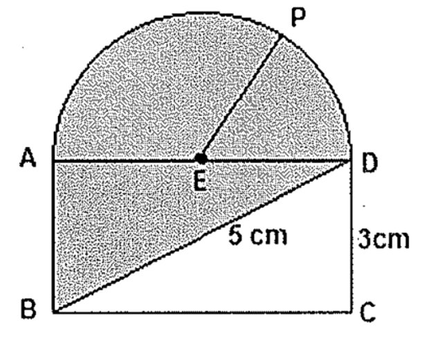 A figura e sua influência nas estratégias de resolução de uma situação  problema de Geometria plana