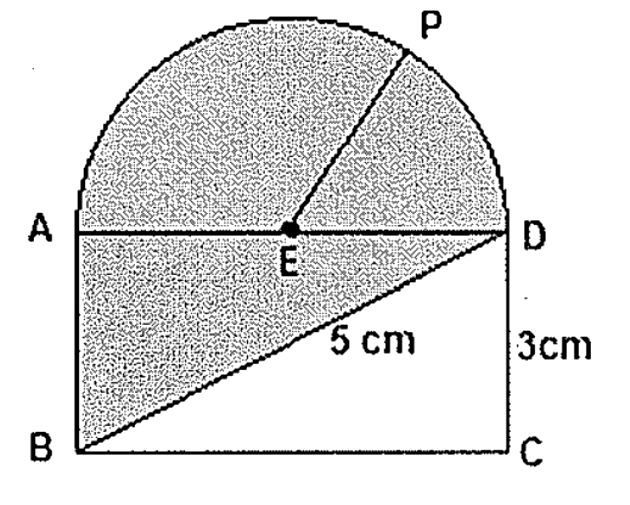 A figura e sua influência nas estratégias de resolução de uma situação  problema de Geometria plana