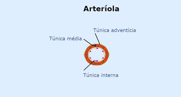 Arteríola