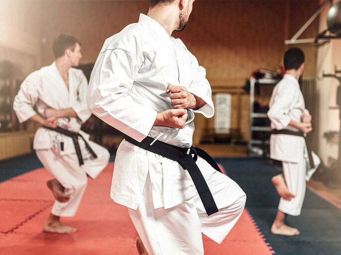 3 lutadores de karate