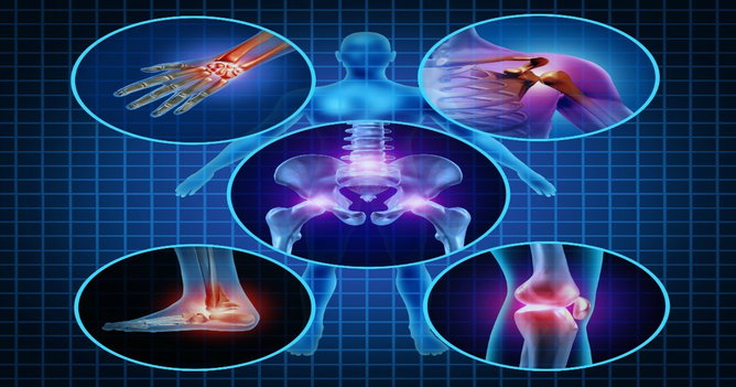 Articulações do Corpo Humano