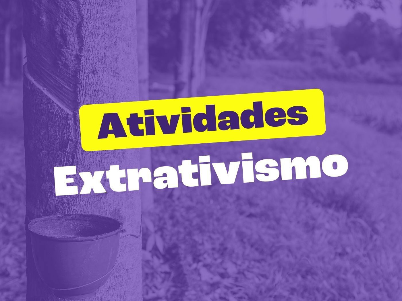 Atividades Sobre O Extrativismo Para Imprimir Toda Mat Ria