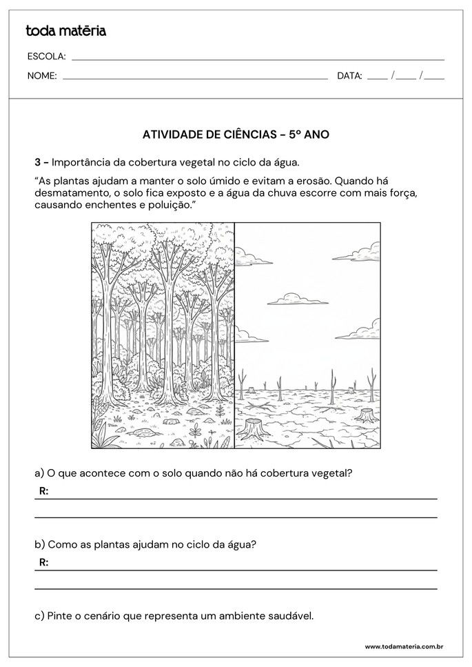 atividade sobre importância da cobertura vegetal no ciclo da água para 5º ano