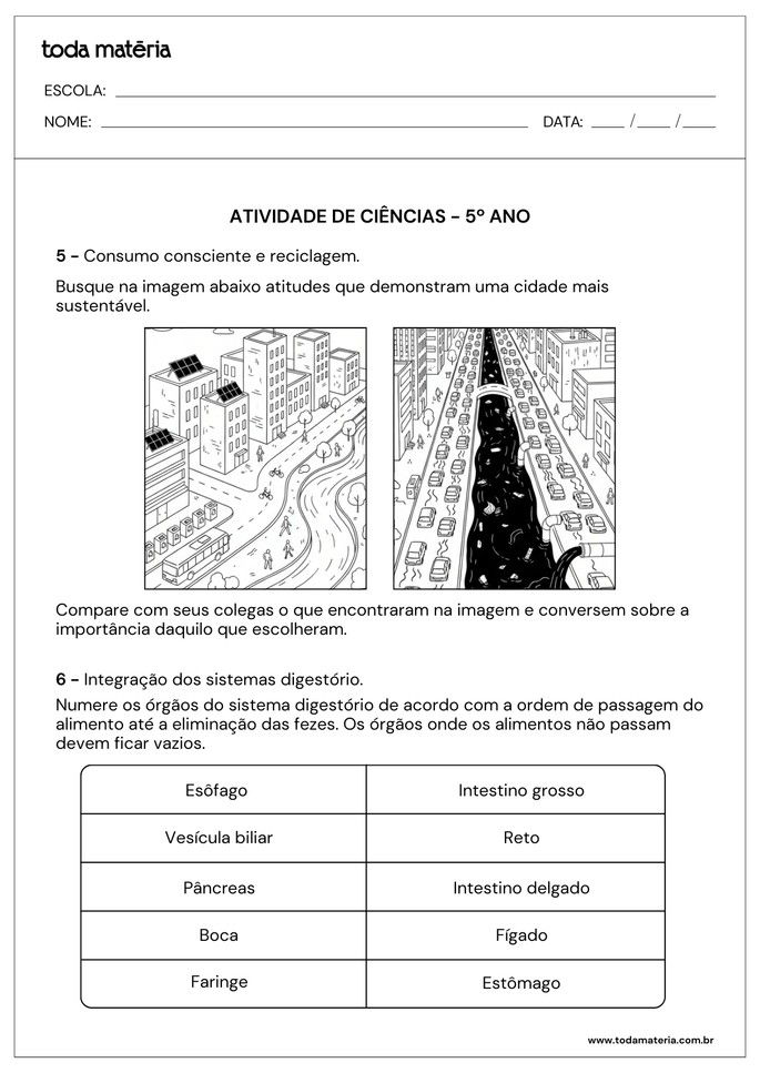 atividade de ciências para 5º ano