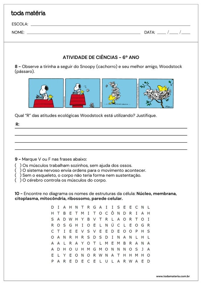 atividade de ciências para 6º ano com tirinha, verdadeiro ou falso e caça-palavras