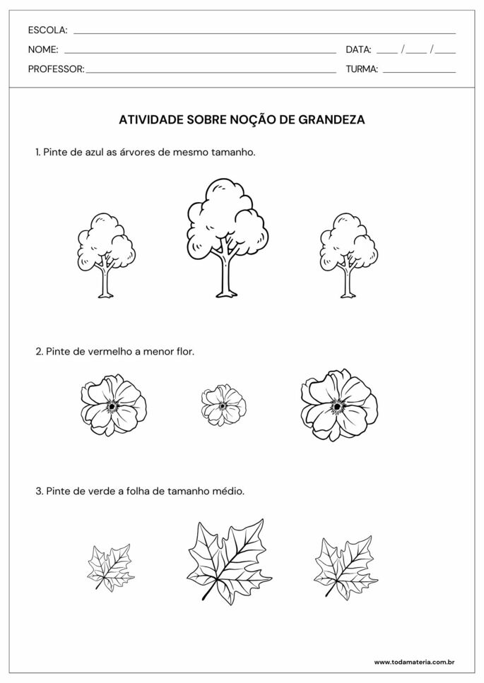 Atividade noção de grandeza .