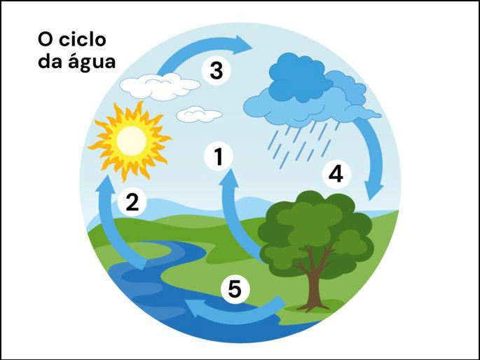 Atividade sobre o ciclo da água