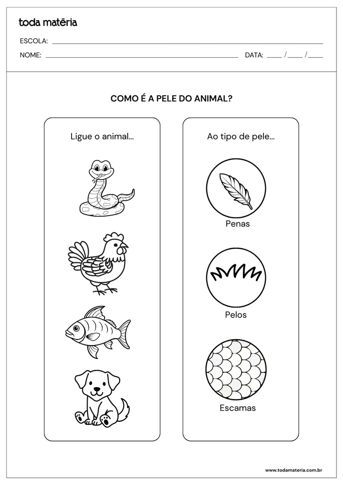 Atividades de ligar tipos de pele dos animais dom&eacute;sticos e selvagens para 1&ordm; e 2&ordm; anos