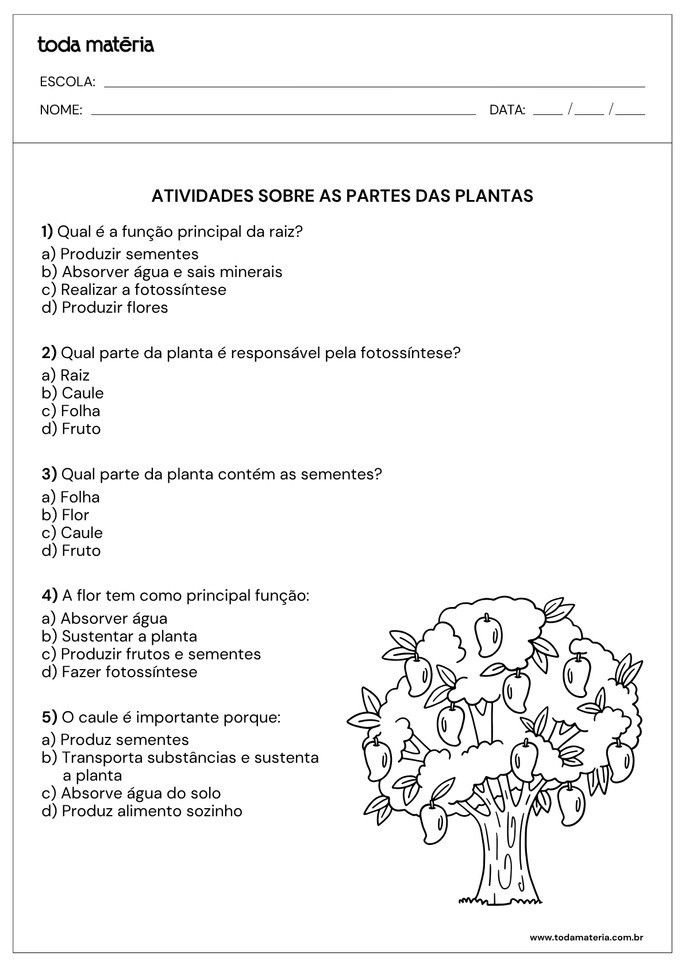 Atividade sobre partes de plantas para alunos do  2&ordm;  ano do Ensino Fundamental