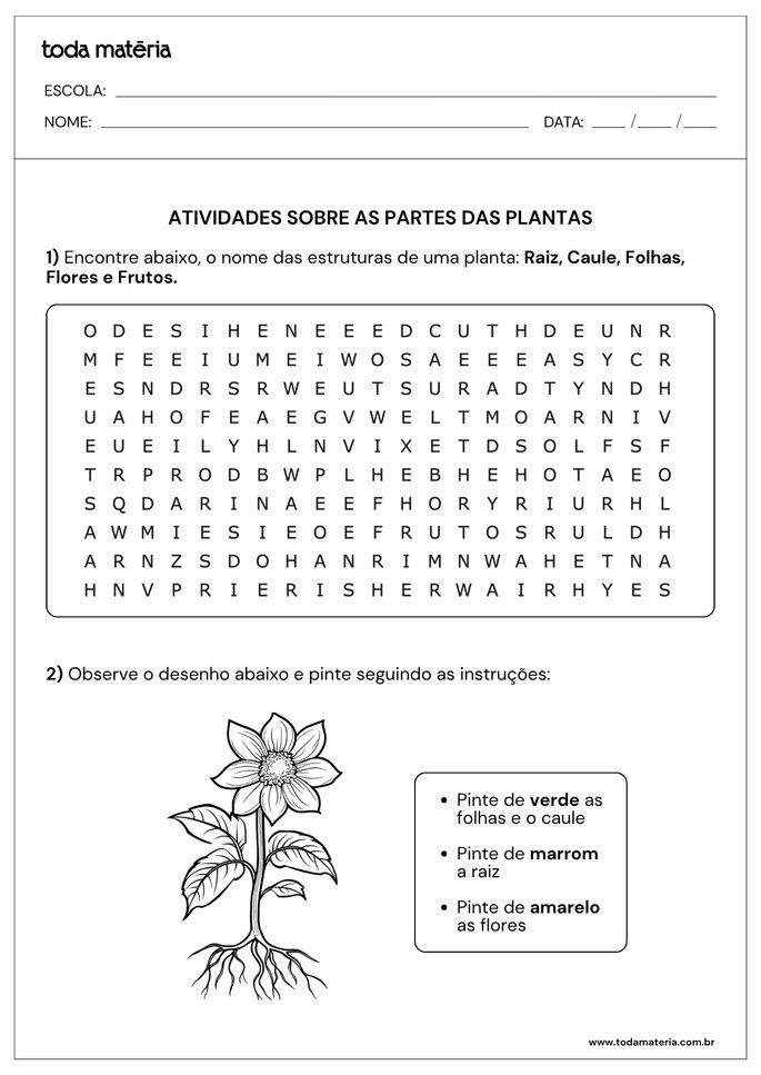Atividade sobre partes de plantas para alunos do  2&ordm; ano do Ensino Fundamental