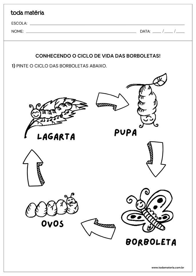 Folha de atividade sobre o Ciclo das Borboletas para Educa&ccedil;&atilde;o Infantil