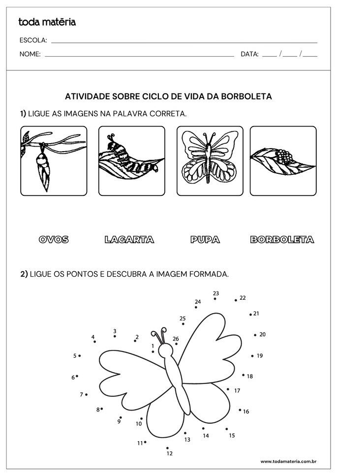 Folha de atividade sobre o Ciclo das Borboletas para Educa&ccedil;&atilde;o Infantil