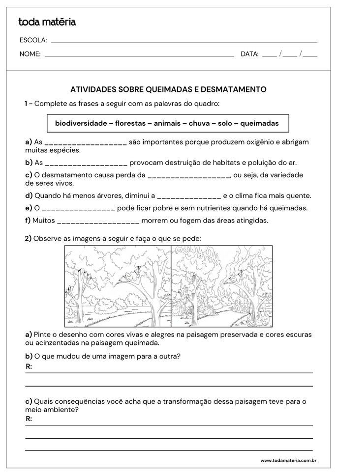 Folha de atividade 2 - Queimadas e desmatamento