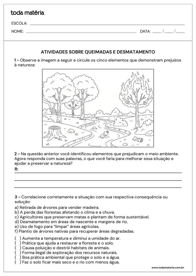 Folha de atividade 4 - Queimadas e desmatamento