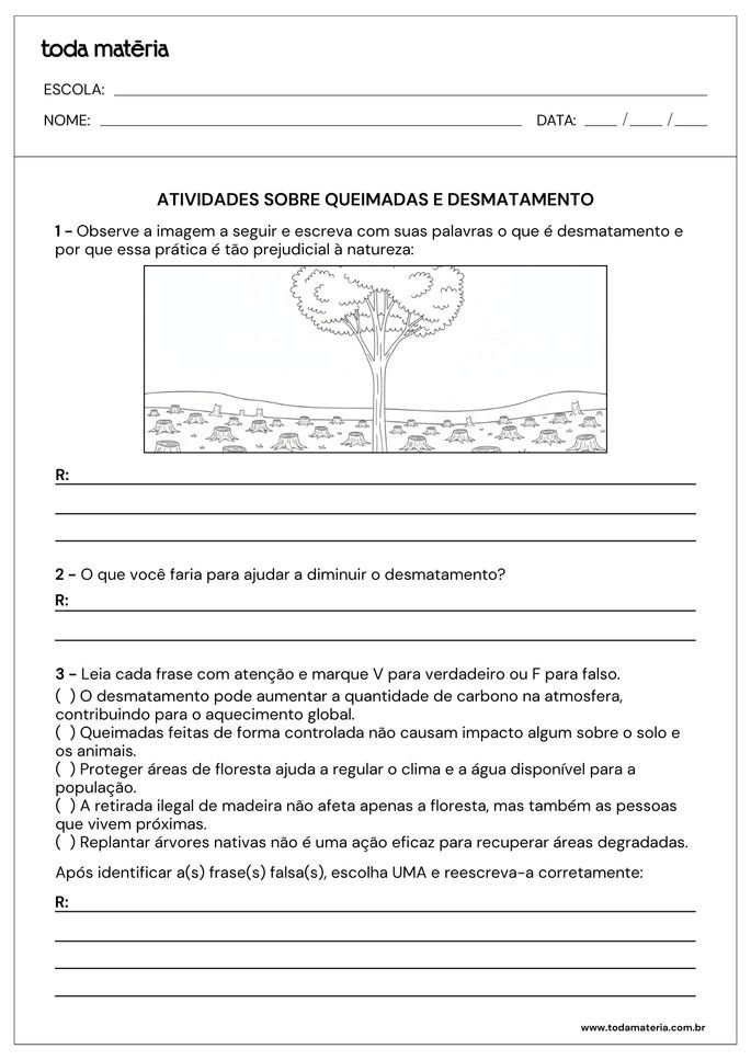 Folha de atividade 5 - Queimadas e desmatamento