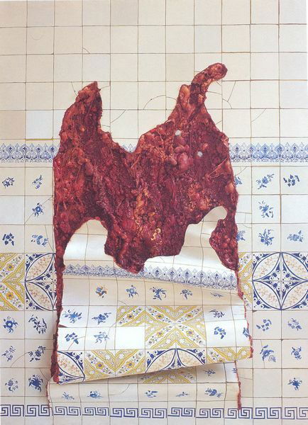 Azuleraria em carne viva, obra de Adriana Varejão, no enunciado do enem 2025