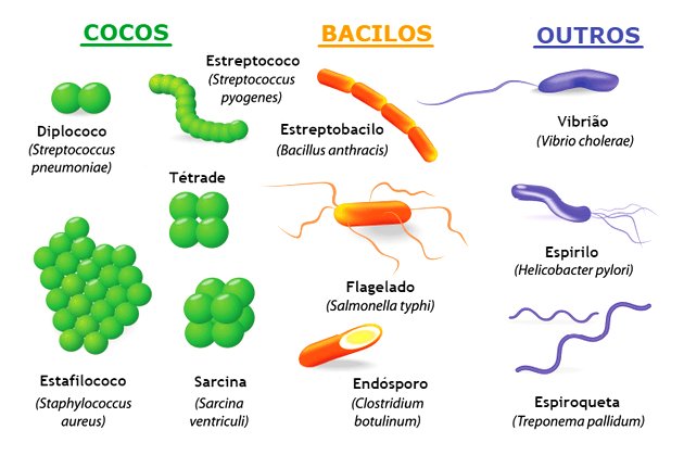 O Que é Microbiologia