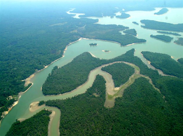 Biomas Brasileiros Floresta Amazônica