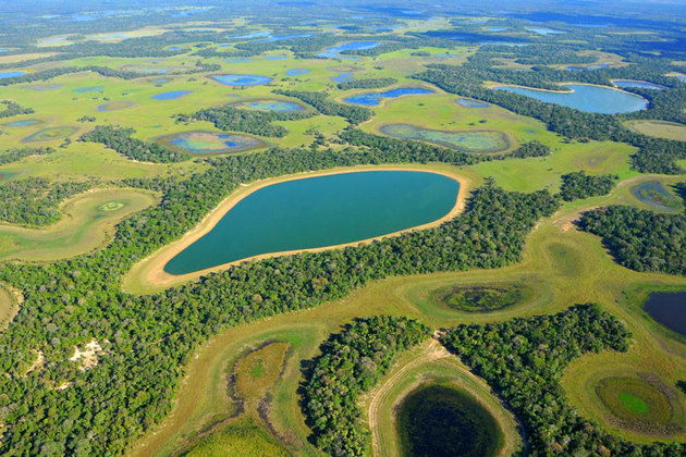 bioma Pantanal