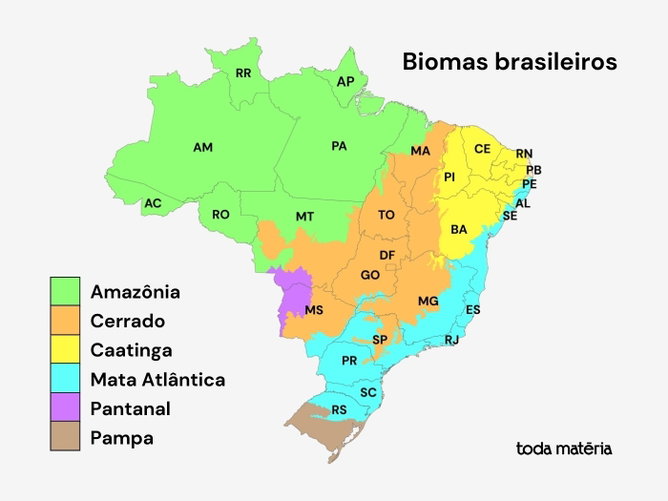 Biomas brasileiros