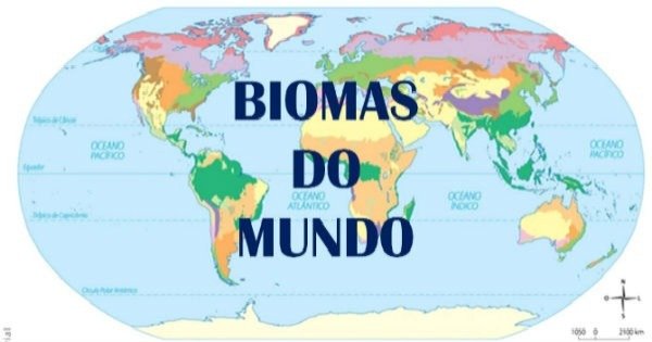 Biomas Do Mundo Resumos Dos Principais Biomas Toda Mat Ria