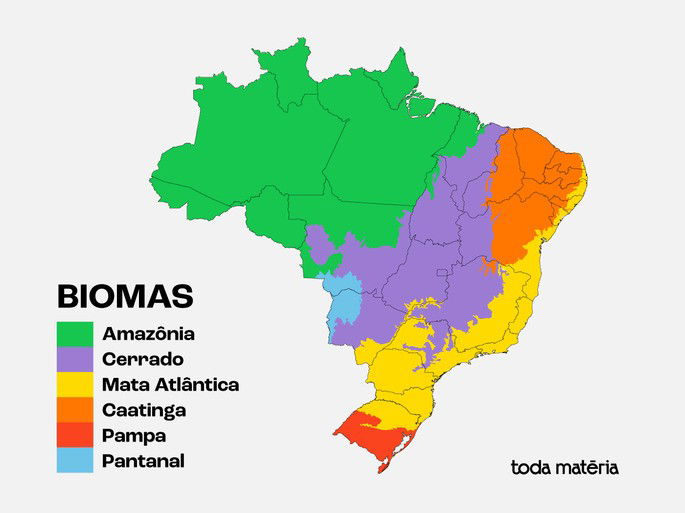 mapa do Brasil divido pelos biomas