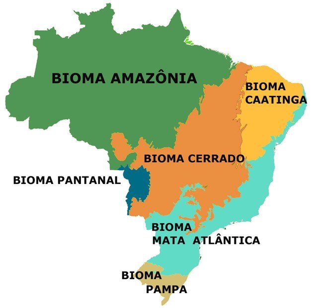 O Que é O Bioma Brasileiro