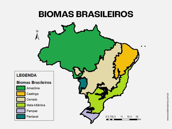 Mapa biomas