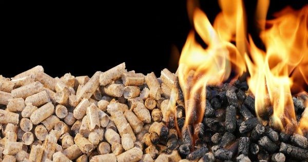Biomassa - Toda Matéria